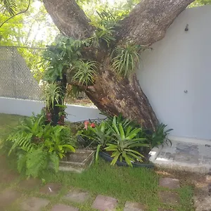  Holiday home Always Summer Puerto Rico
